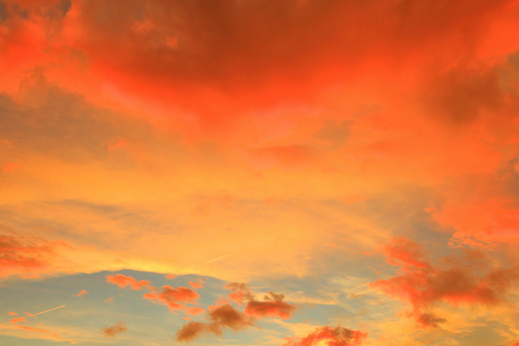 GameChanger Vision | Pro Health. Real Returns. A systemic view on health, longevity, and behavior. Inspired by the Dirty Pipes Hypothesis. A vision shaping the future of venture capital in health. credit: @joeting Unsplash